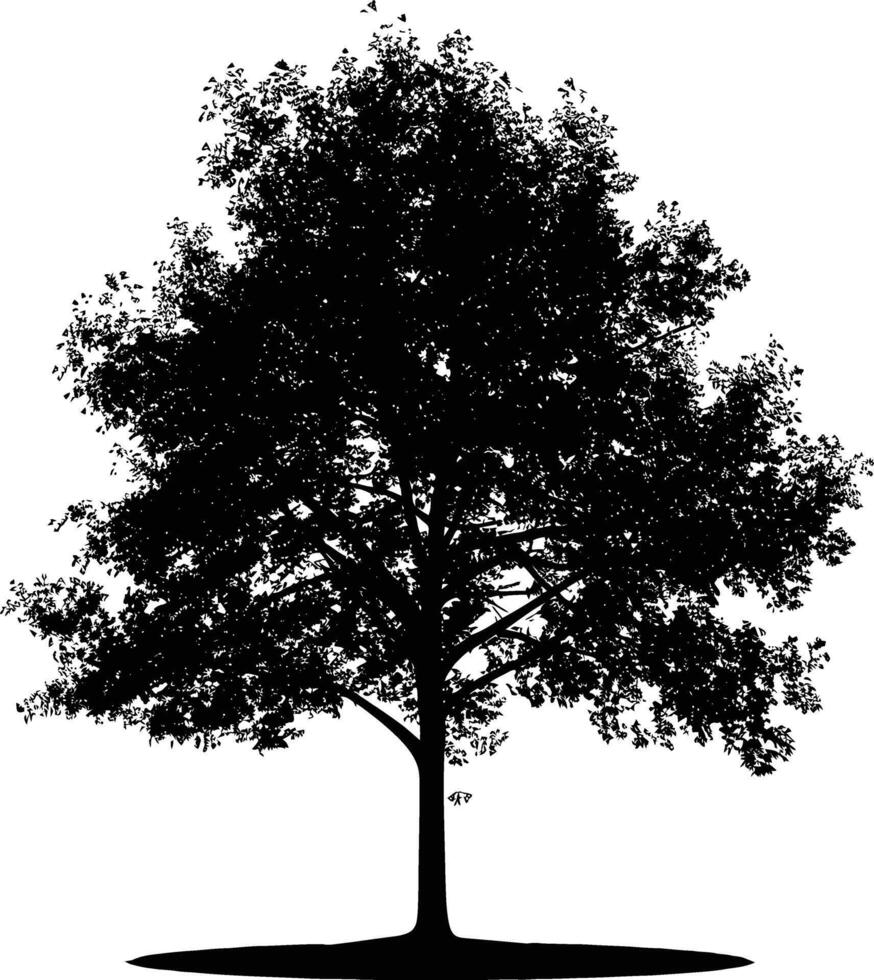 ai generiert Silhouette Baum Natur schwarz Farbe nur vektor