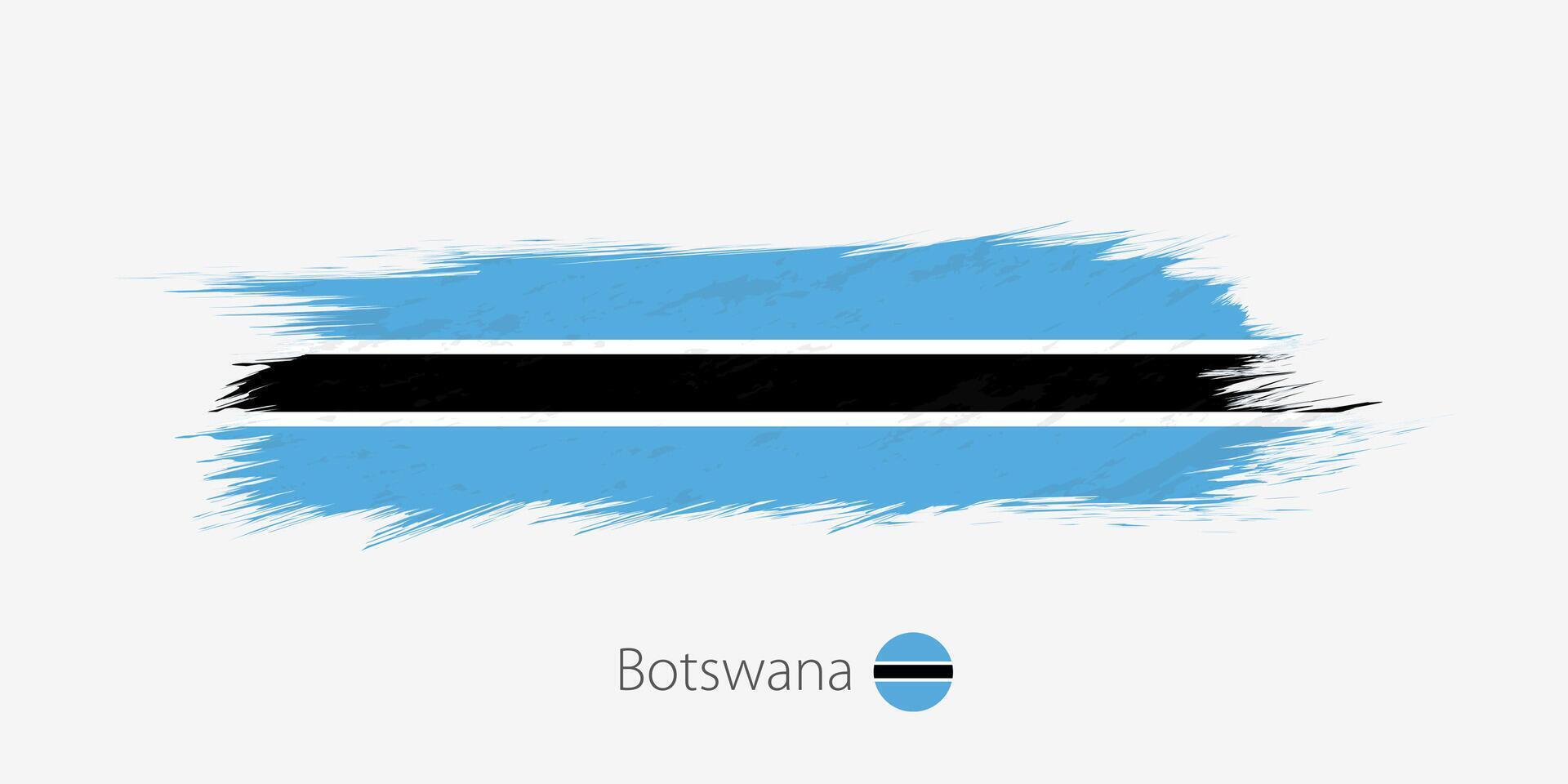 flagga av botswana, grunge abstrakt borsta stroke på grå bakgrund. vektor