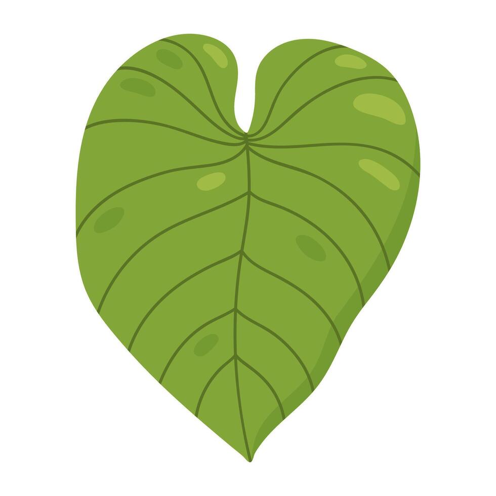 monstera blad isolerat på vit bakgrund. vektor ritad för hand illustration. perfekt för logotyp, kort, dekorationer, olika mönster. botanisk ClipArt.