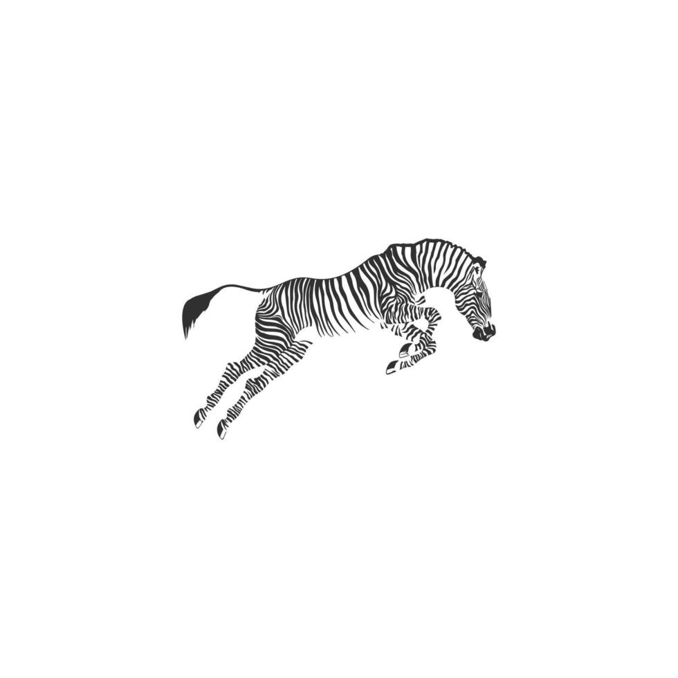 zebra logotyp design inspiration. zebra logotyp på vit bakgrund vektor