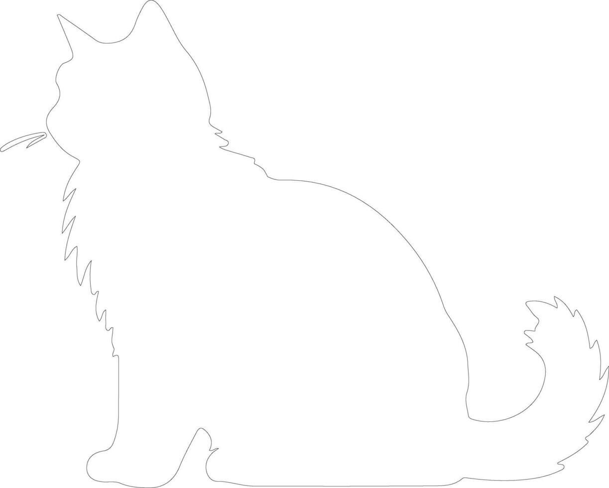 kurilian bobtail katt översikt silhuett vektor