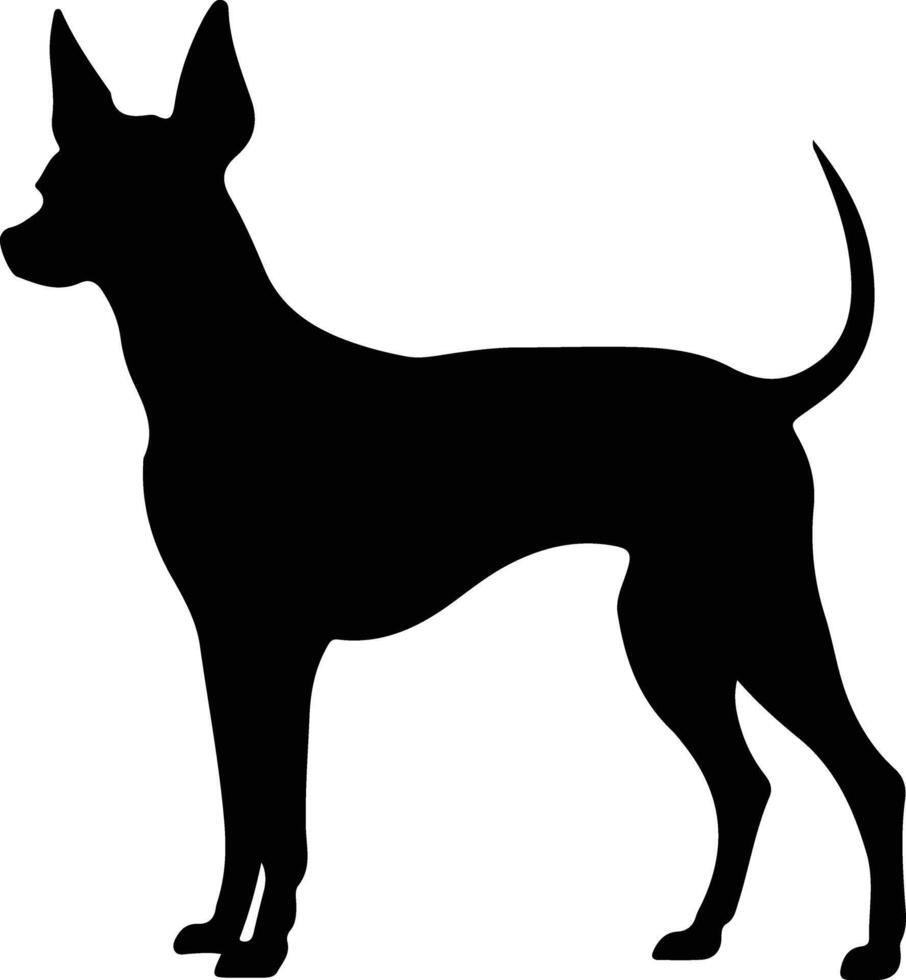 xoloitzcuintli Mexikaner unbehaart Hund schwarz Silhouette vektor