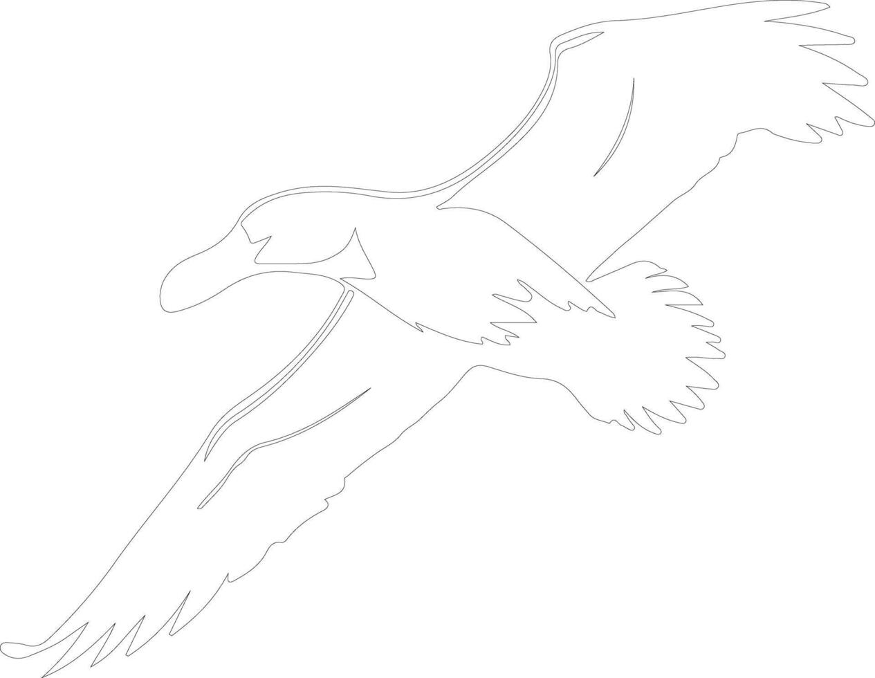 albatross översikt silhuett vektor