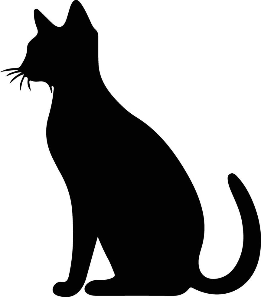 Abessinier Katze schwarz Silhouette vektor