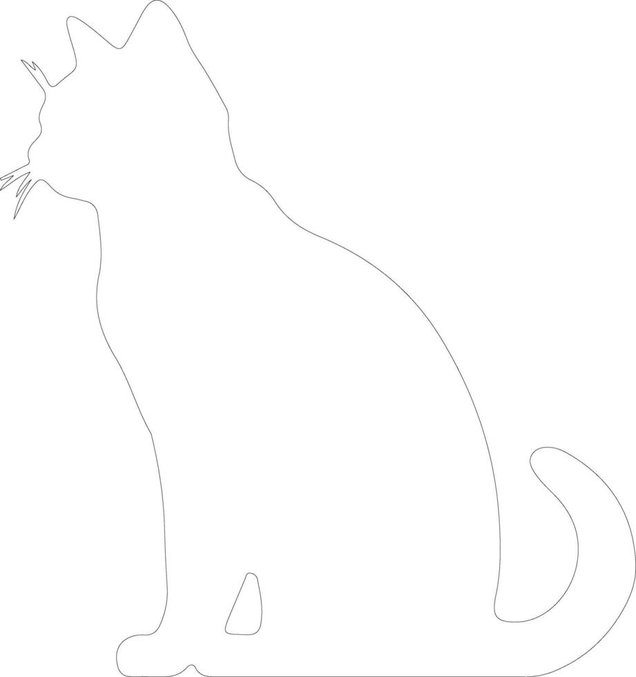 brasiliansk kort hår katt översikt silhuett vektor