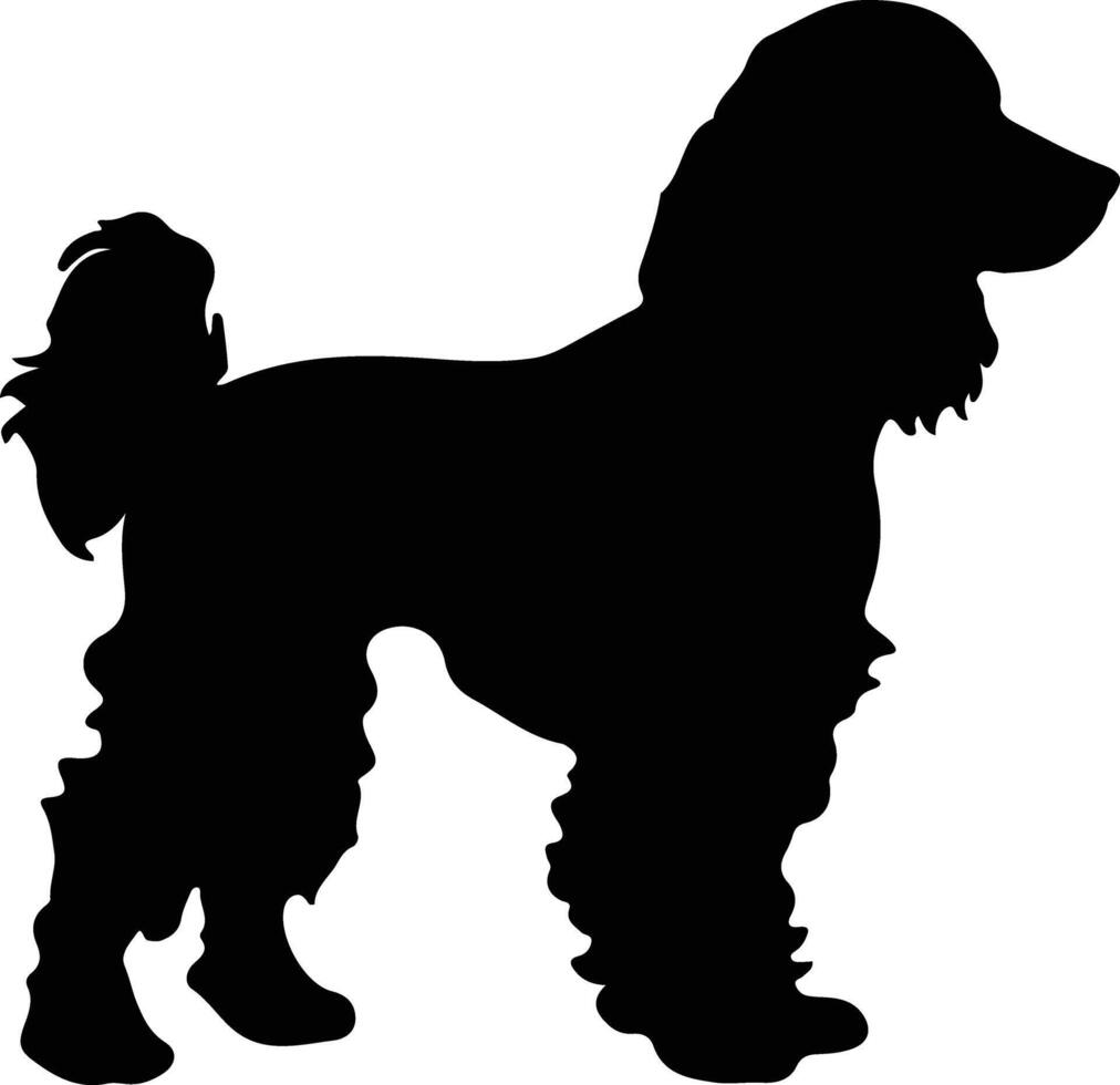 irisch Wasser Spaniel schwarz Silhouette vektor