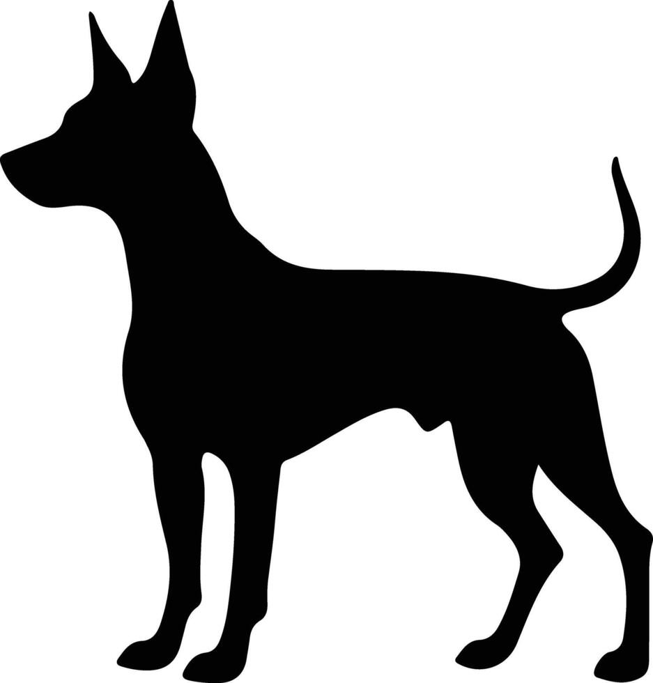 tysk pinscher svart silhuett vektor