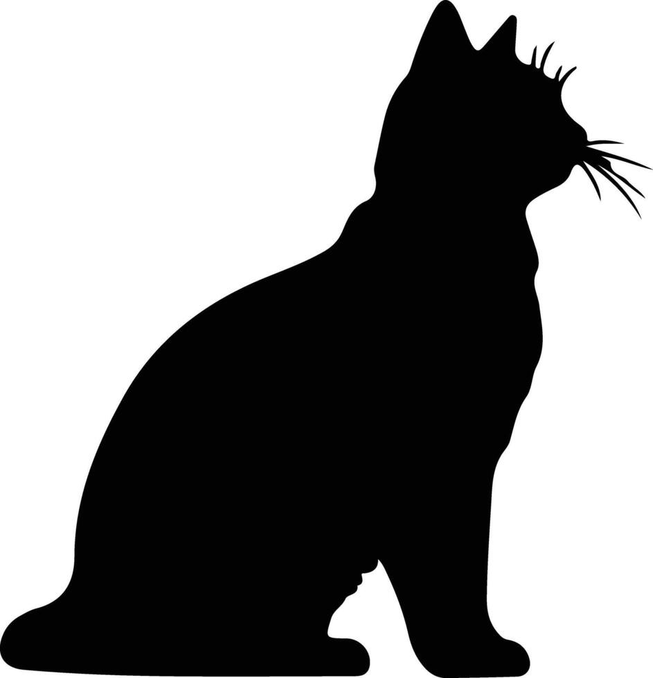 britisch kurzes Haar Katze schwarz Silhouette vektor