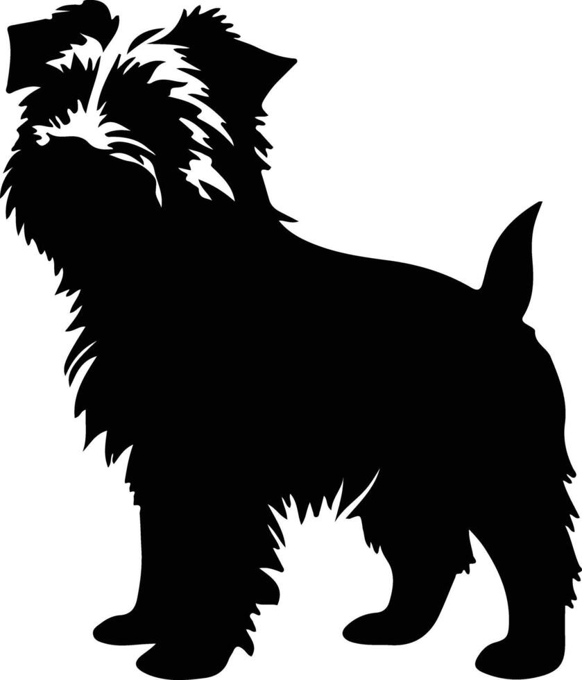 Norfolk Terrier schwarz Silhouette vektor