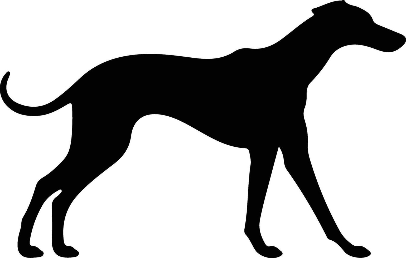 Windhund schwarz Silhouette vektor