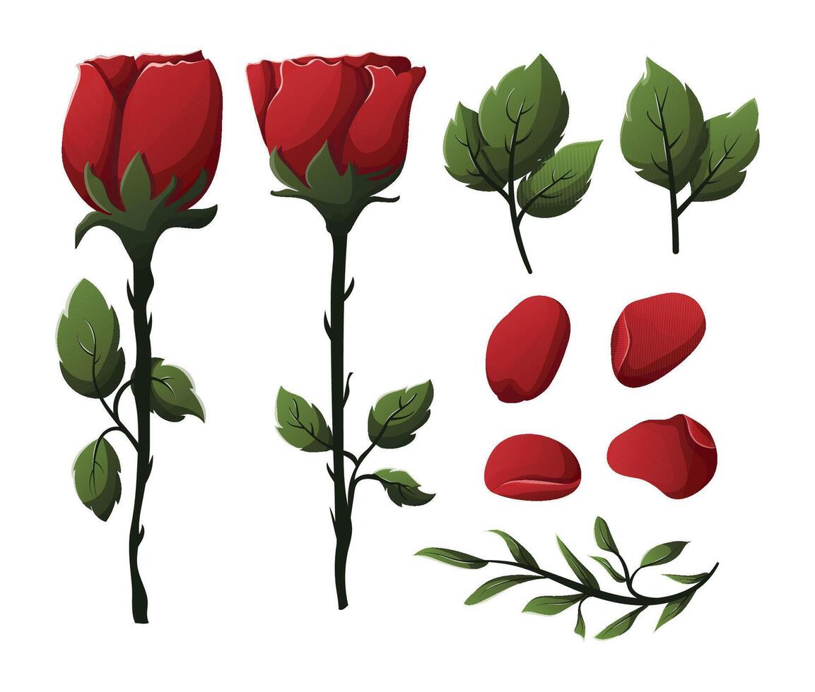 einstellen Vektor Valentinstag Rosen Illustration