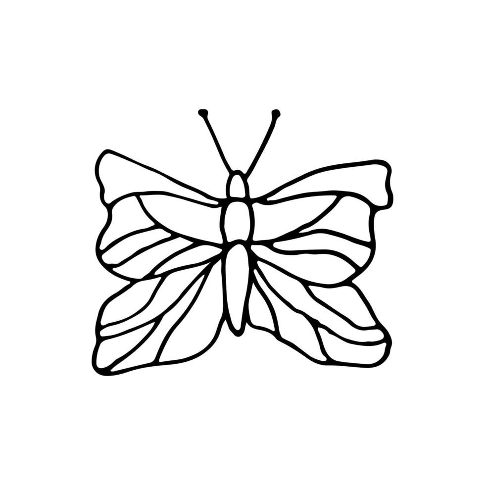 Schmetterling, Insekt. Gekritzel. Vektor Illustration. Hand gezeichnet. Umriss.