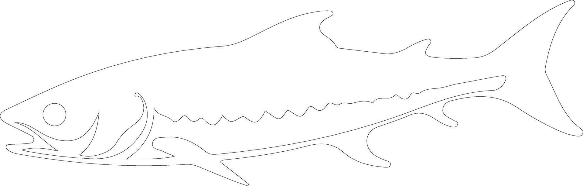 barracuda översikt silhuett vektor