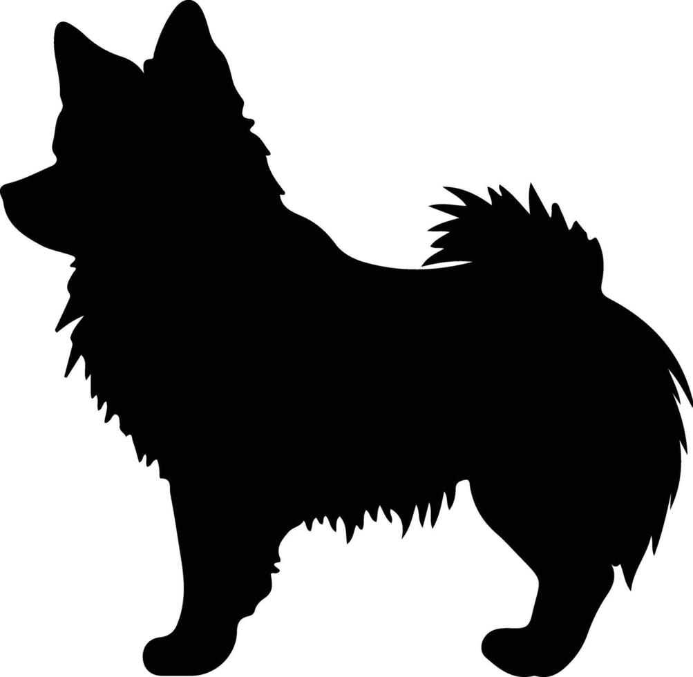 Schwedisch Vallhund schwarz Silhouette vektor