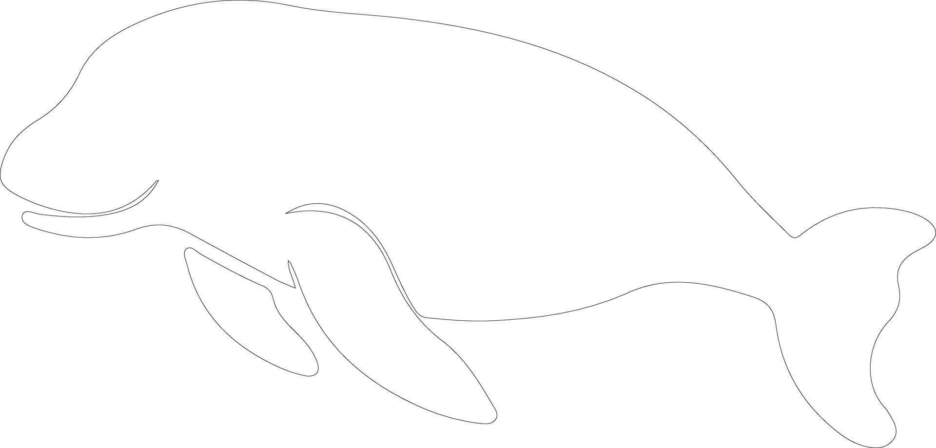 dugong översikt silhuett vektor