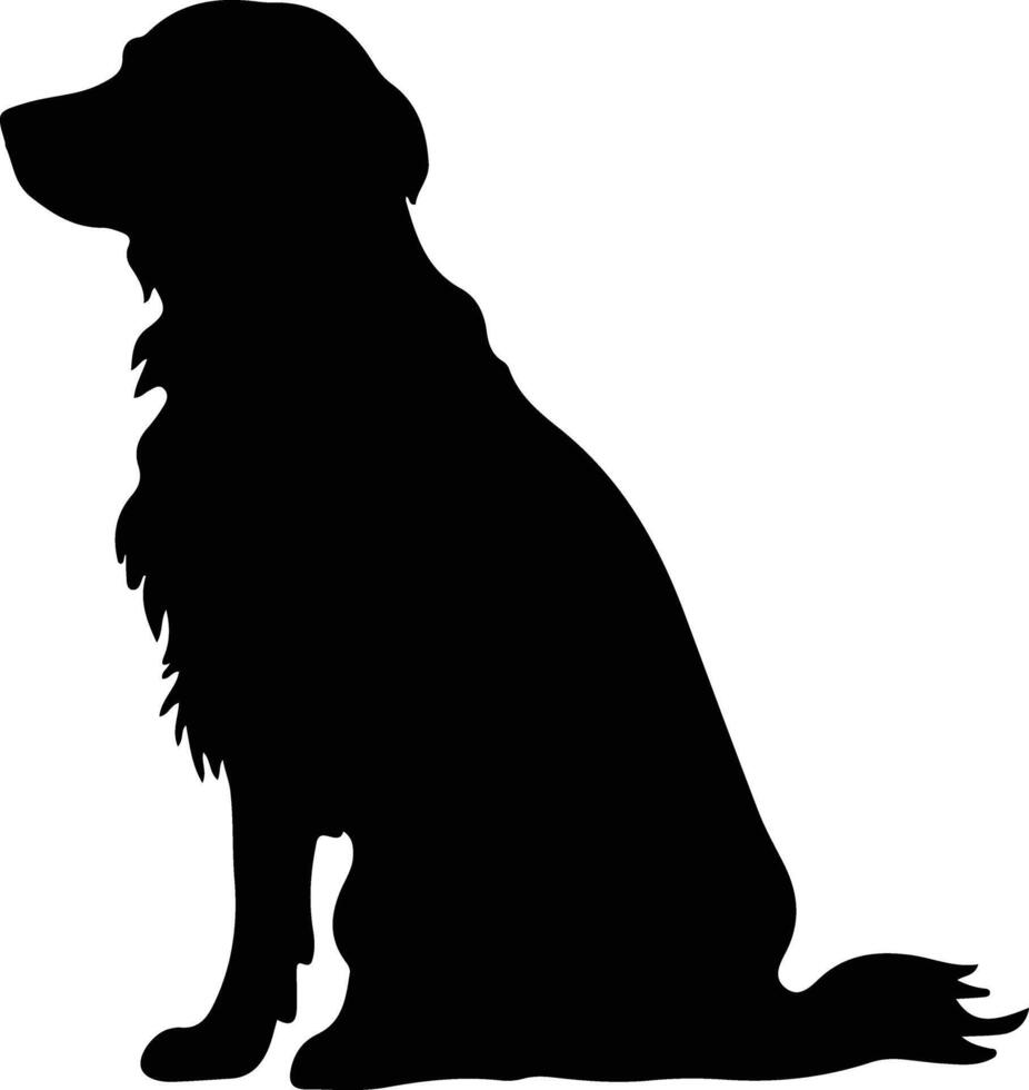 flach beschichtet Retriever schwarz Silhouette vektor