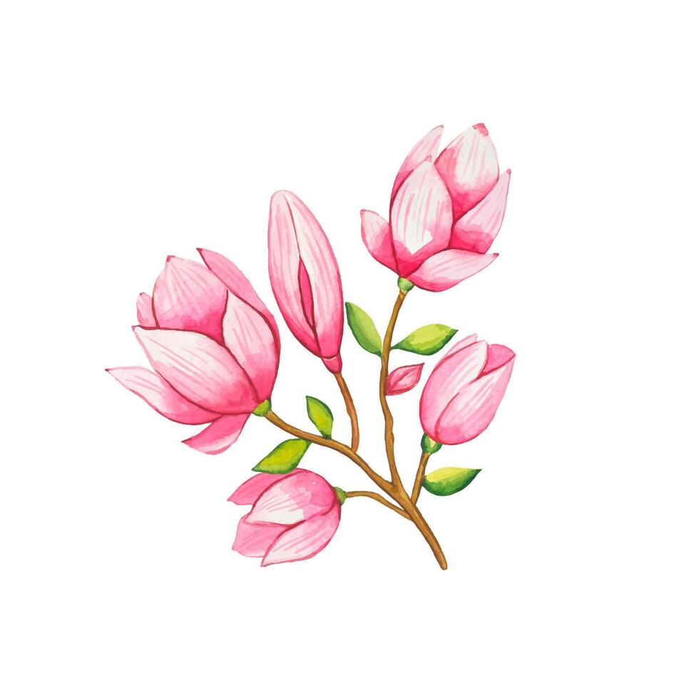 hand dragen kvist av blomning rosa magnolia, vattenfärg vektor