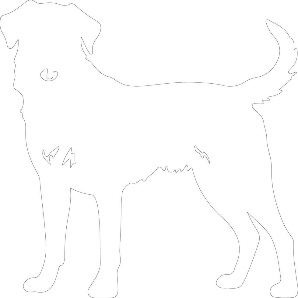 anatoliska herde hund översikt silhuett vektor