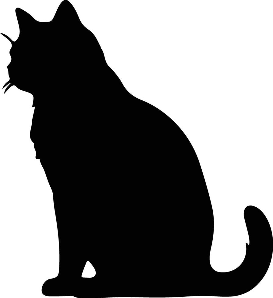 britisch kurzes Haar Katze schwarz Silhouette vektor