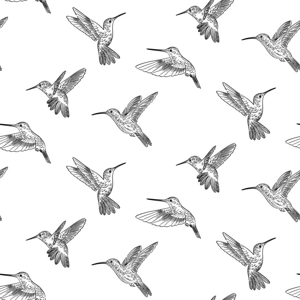 Gekritzel Stil Muster Kolibri Vögel vektor