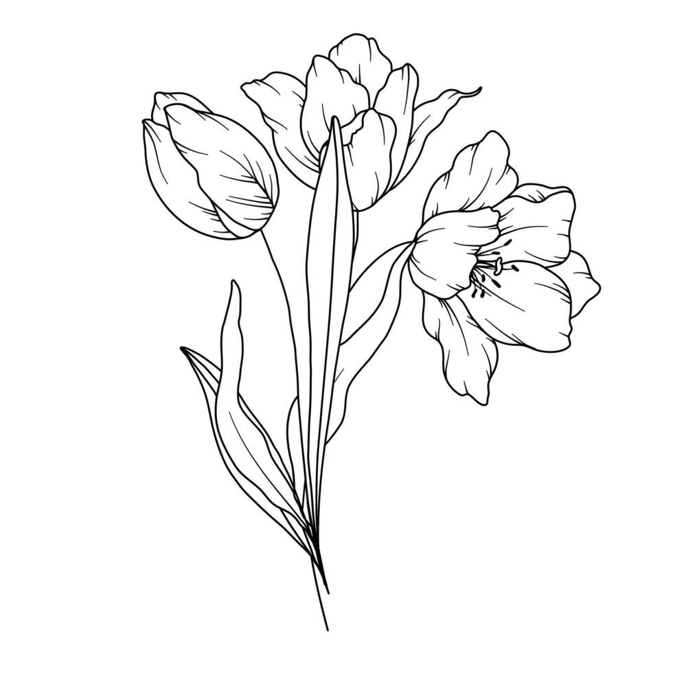 tulpaner linje teckning. svart och vit blommig buketter. blomma färg sida. blommig linje konst. bra linje tulpaner illustration. hand dragen blommor. botanisk färg. bröllop inbjudan blommor vektor