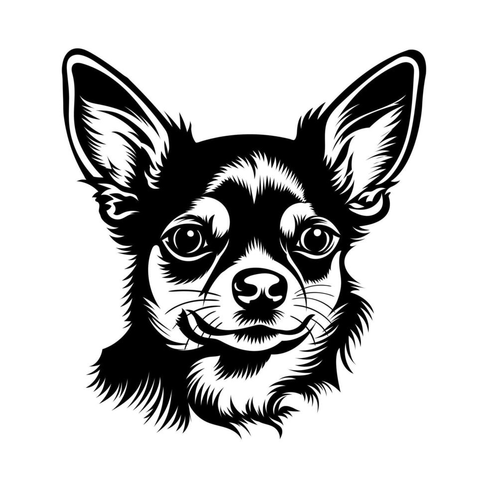 chihuahua hund vektor illustration