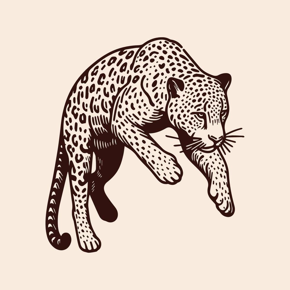 jaguar. hand dragen vektor illustration av en vild djur.