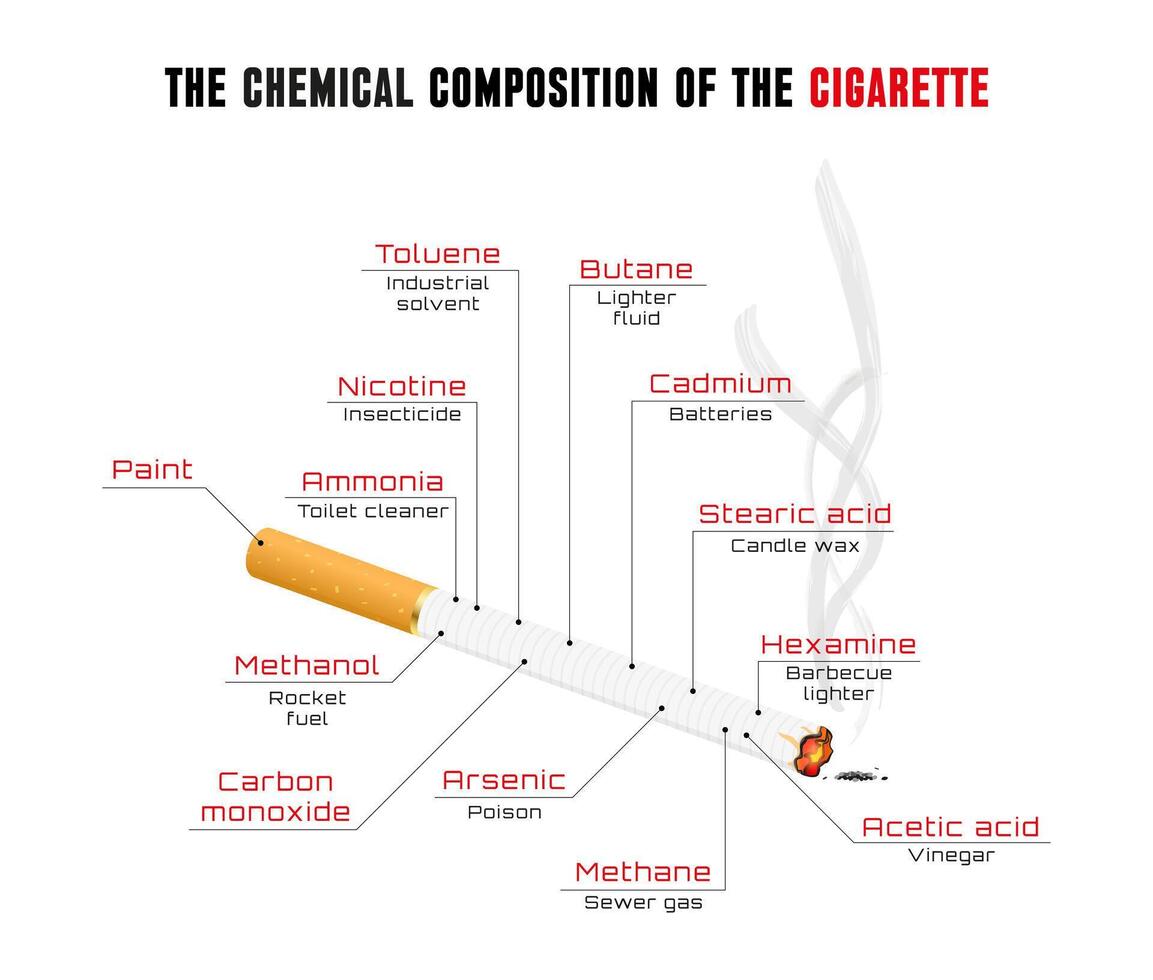 infographics handla om de faror av rökning. de sammansättning av cigaretter och tobak rök. vektor