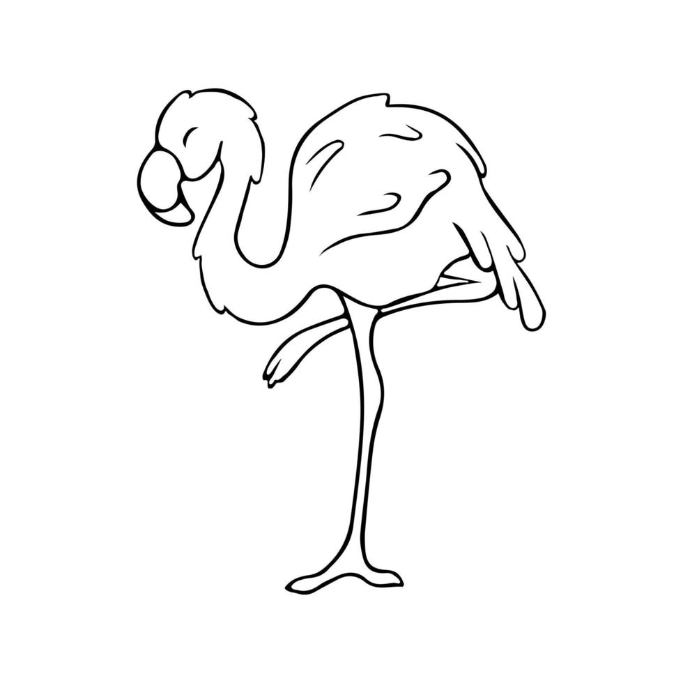 Flamingos. Gekritzel. Kontur Vogel. Kontur.Stock Abbildung vektor