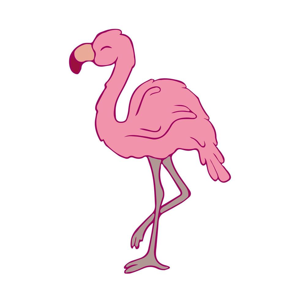 flamingos. klotter. konturfågel. kontur. rosa flamingo. vektor
