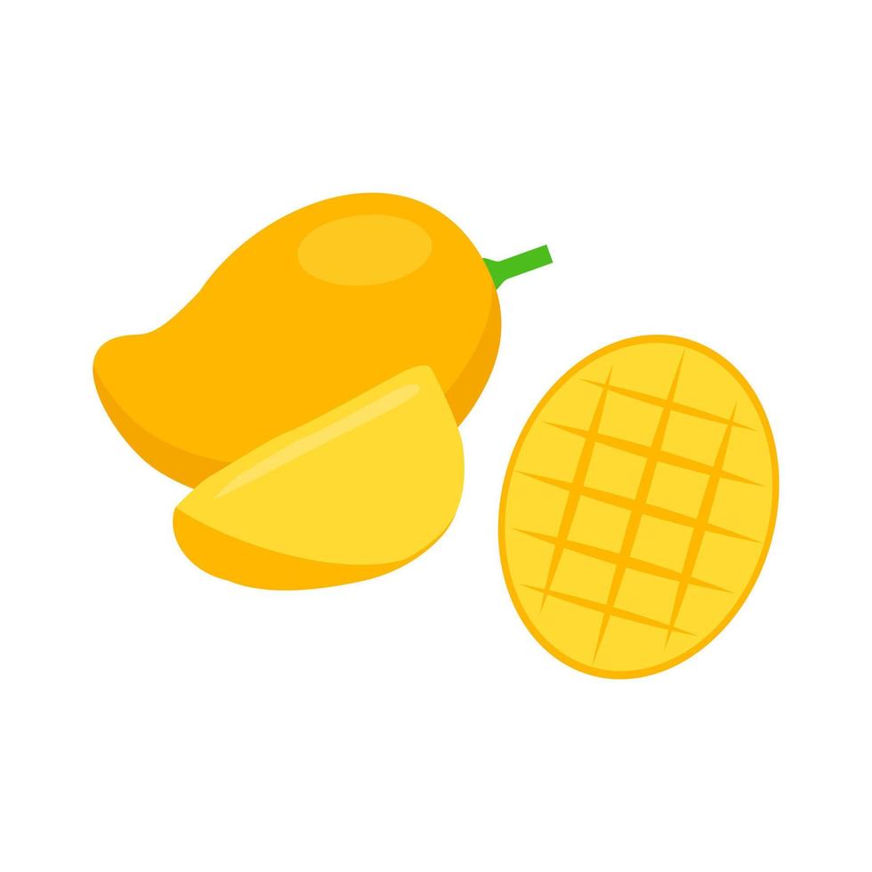mogen mango och skurna bitar vektor illustration isolerad på vit bakgrund