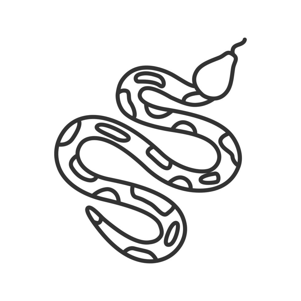 Python-lineares Symbol. dünne Linie Abbildung. Schlange. Boa Constrictor. Kontursymbol. Vektor isolierte Umrisszeichnung