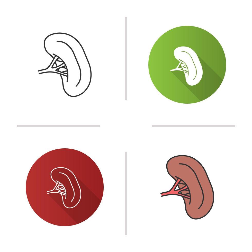 Symbol der menschlichen Milz. Organ des Lymphsystems. flaches Design, lineare und Farbstile. isolierte vektorillustrationen vektor