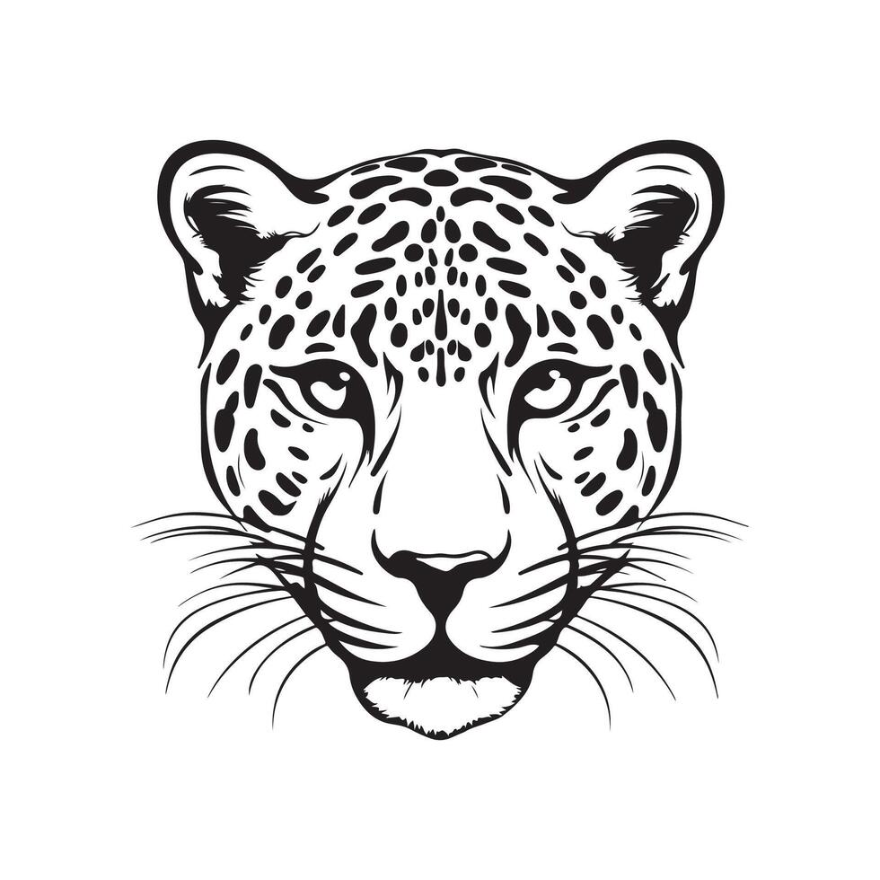 leopard huvud vektor bilder