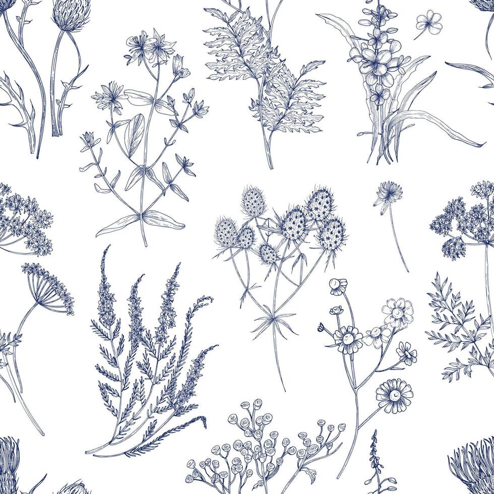 botanisk sömlös mönster med äng örter, blommande växter och blomning vild blommor hand dragen med blå rader på vit bakgrund. naturlig vektor illustration i årgång stil för tyg skriva ut.