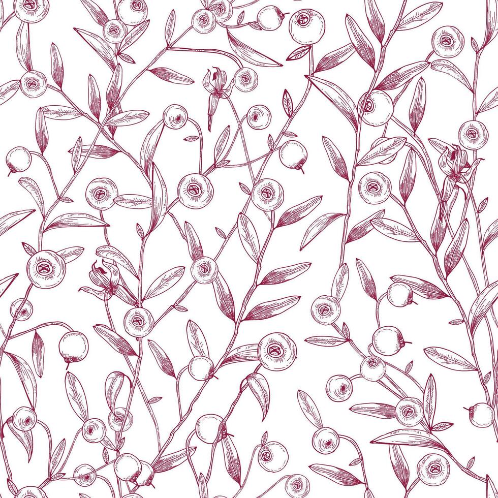skön sömlös mönster med tranbär växande på stjälkar med mycket liten löv mot vit bakgrund. textur med bär dragen i etsning stil. vektor illustration för tapet, textil- skriva ut.