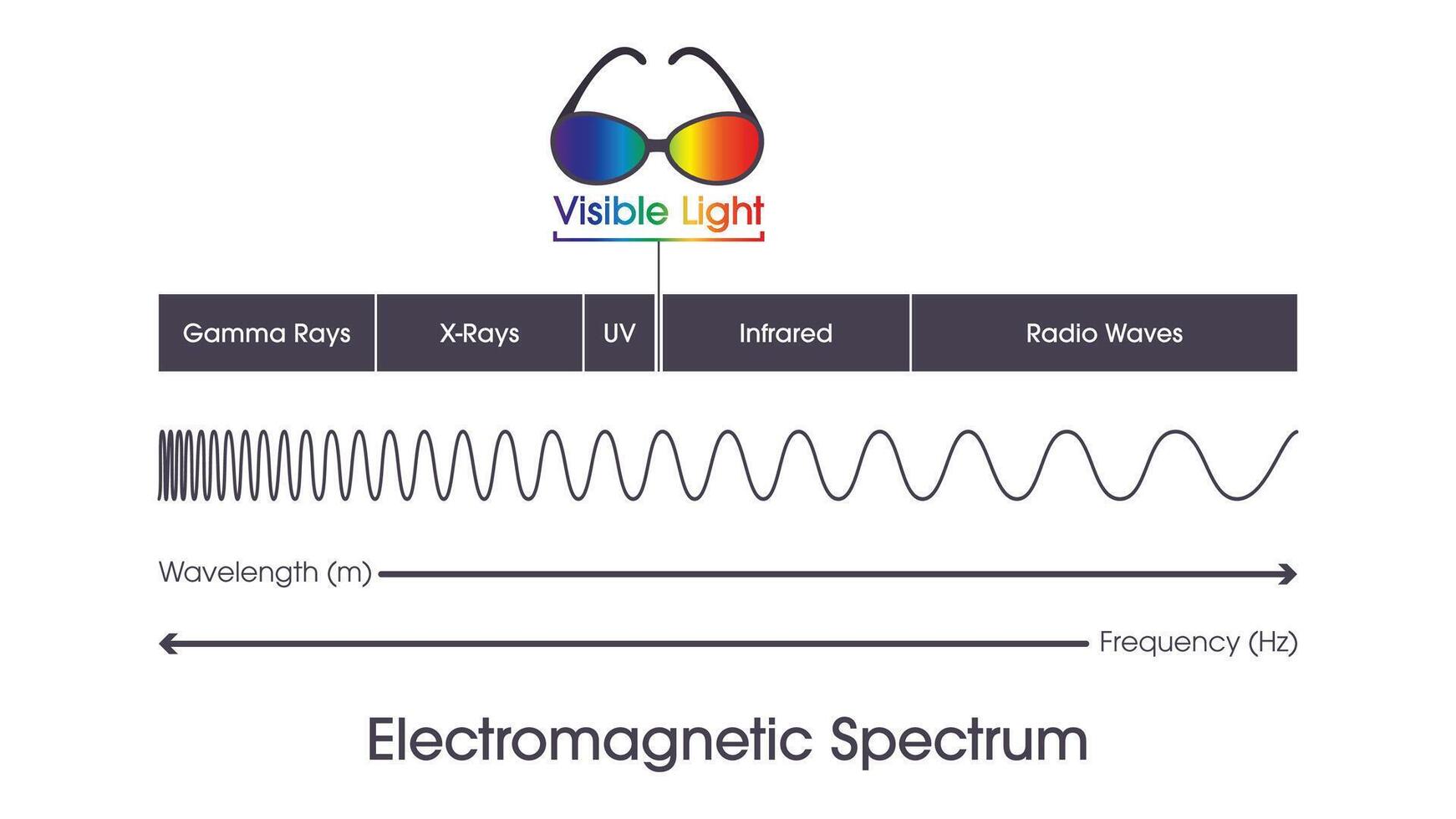 elektromagnetisk spektrum våglängder och frekvens vektor grafisk