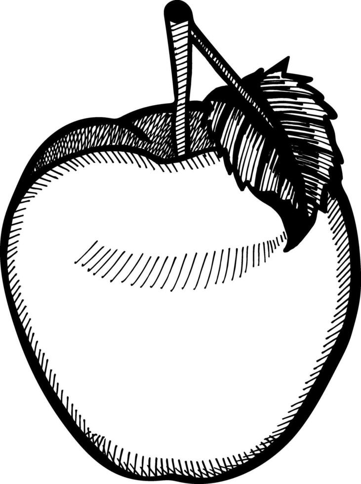 Apfel Obst Hand gezeichnet Gravur Stil Vektor Illustrationen. Gala Apfel Obst Zeichnung Jahrgang Clip Kunst isoliert auf Weiß Hintergrund.