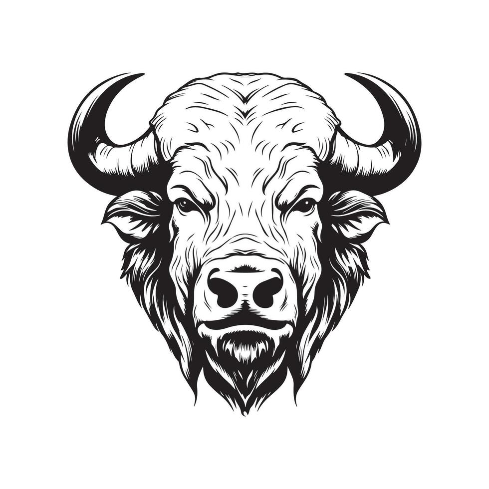 buffel ansikte vektor konst, ikoner, och grafik
