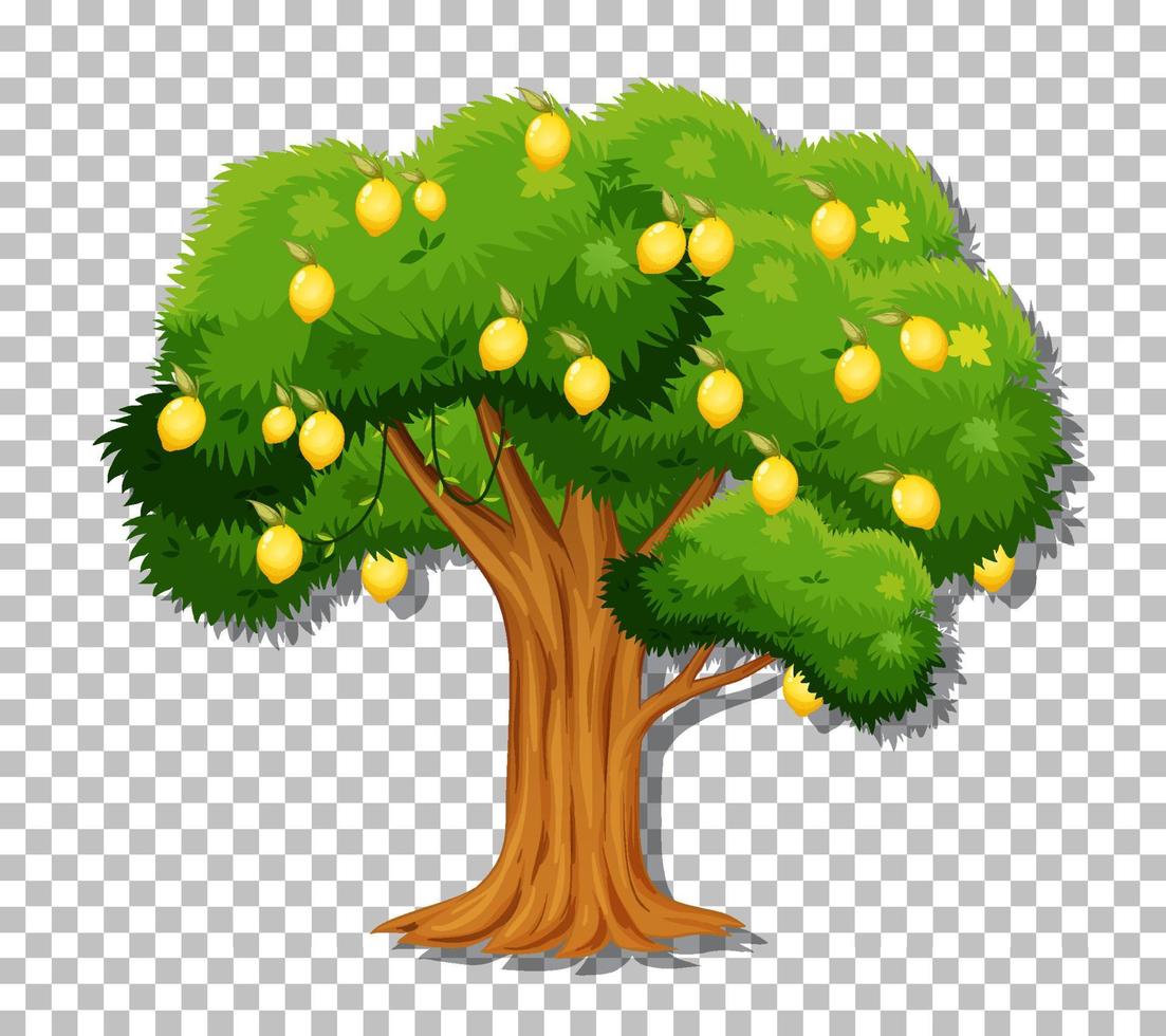 Zitronenbaum auf Gitterhintergrund vektor