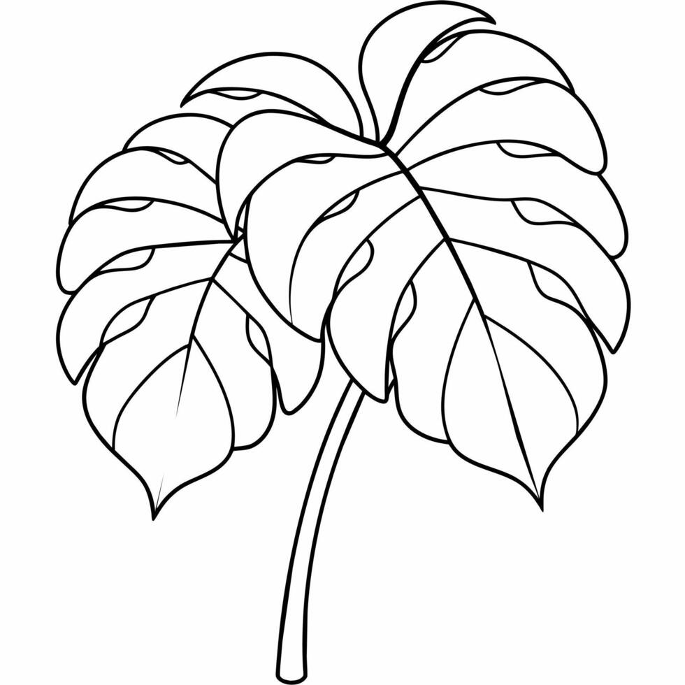 monstera svart och vit vektor illustration för färg bok