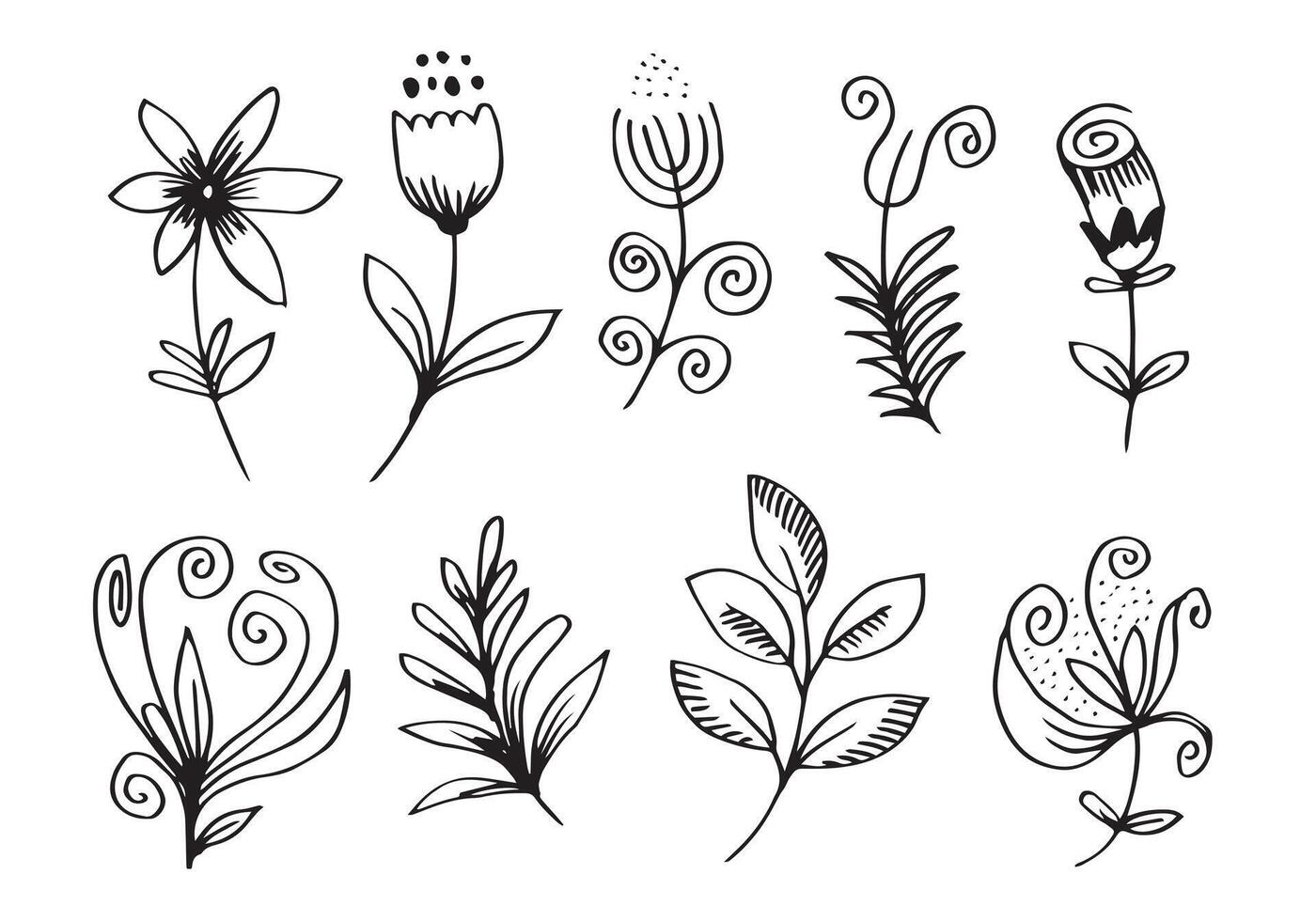 en samling handritade blombilder som klockblomma, krysantemum, solrosor, bomullsblommor och tropiska löv vektor