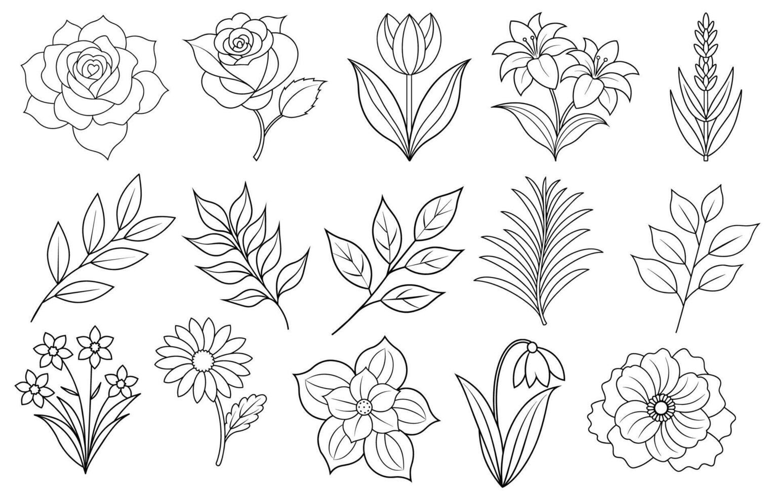 Sammlung von Blume und Blatt Elemente zum Design zum Einladung, Gruß Karte, zitieren, Blog, Poster. vektor