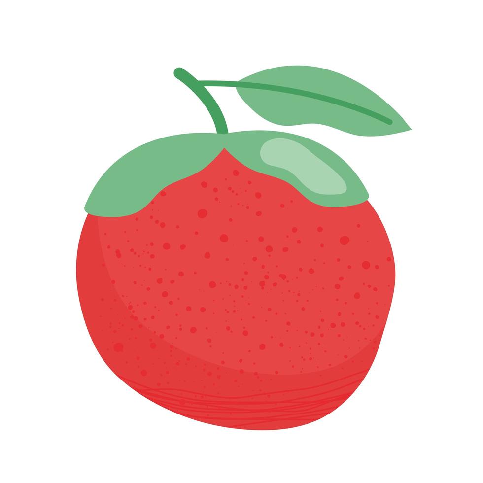 färsk tomat grönsak näringsrik ikon vektor