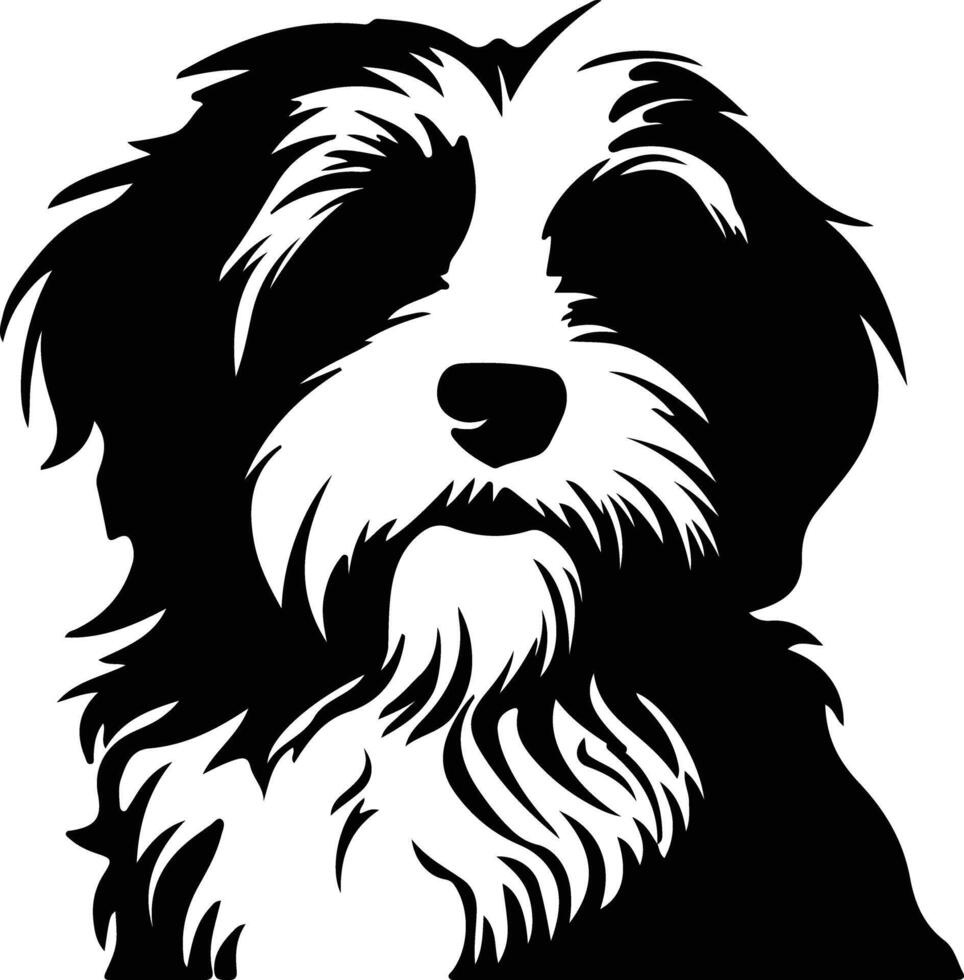 havanese schwarz Silhouette vektor