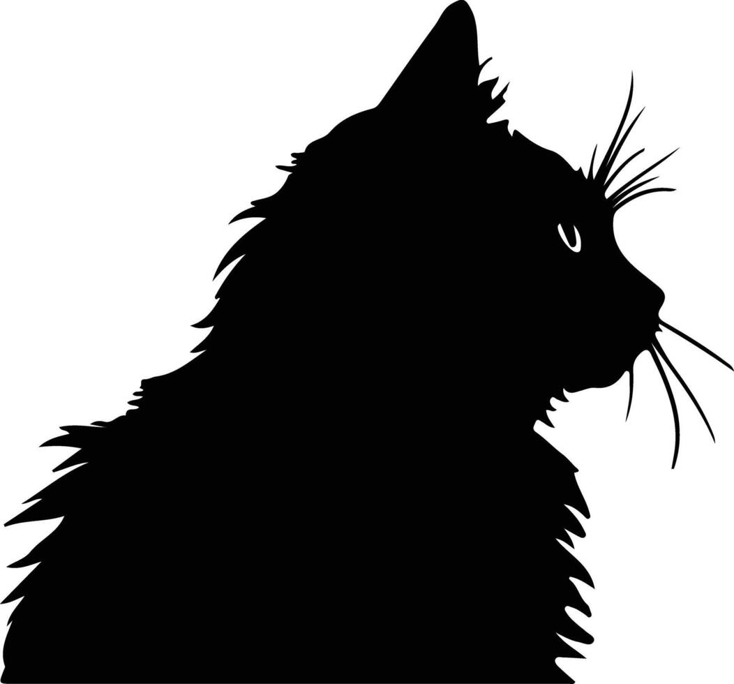 brittiskt långt hår katt silhuett porträtt vektor