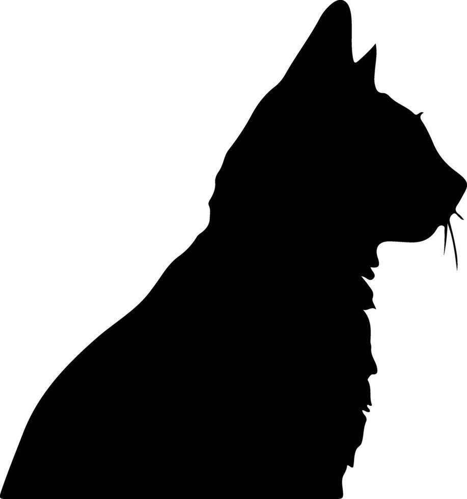 Sam sahet Katze schwarz Silhouette vektor