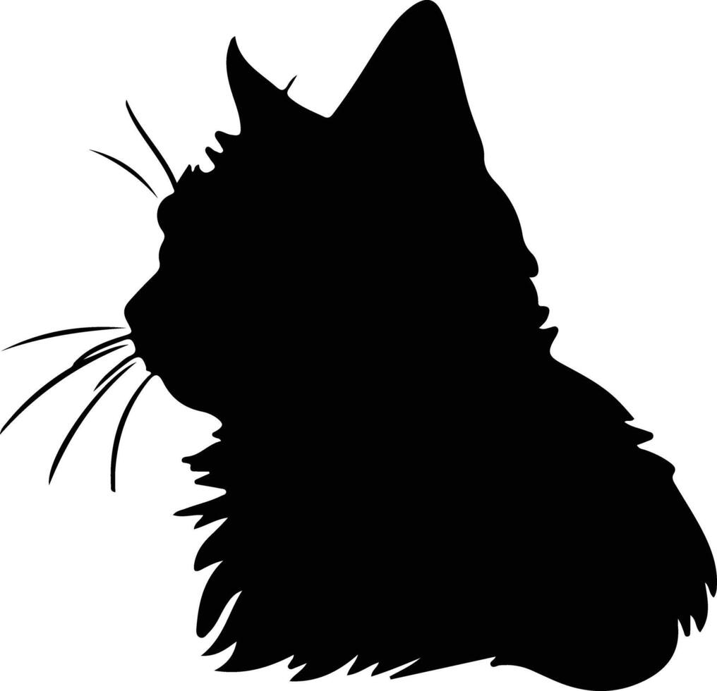 Selkirk rex Katze Silhouette Porträt vektor