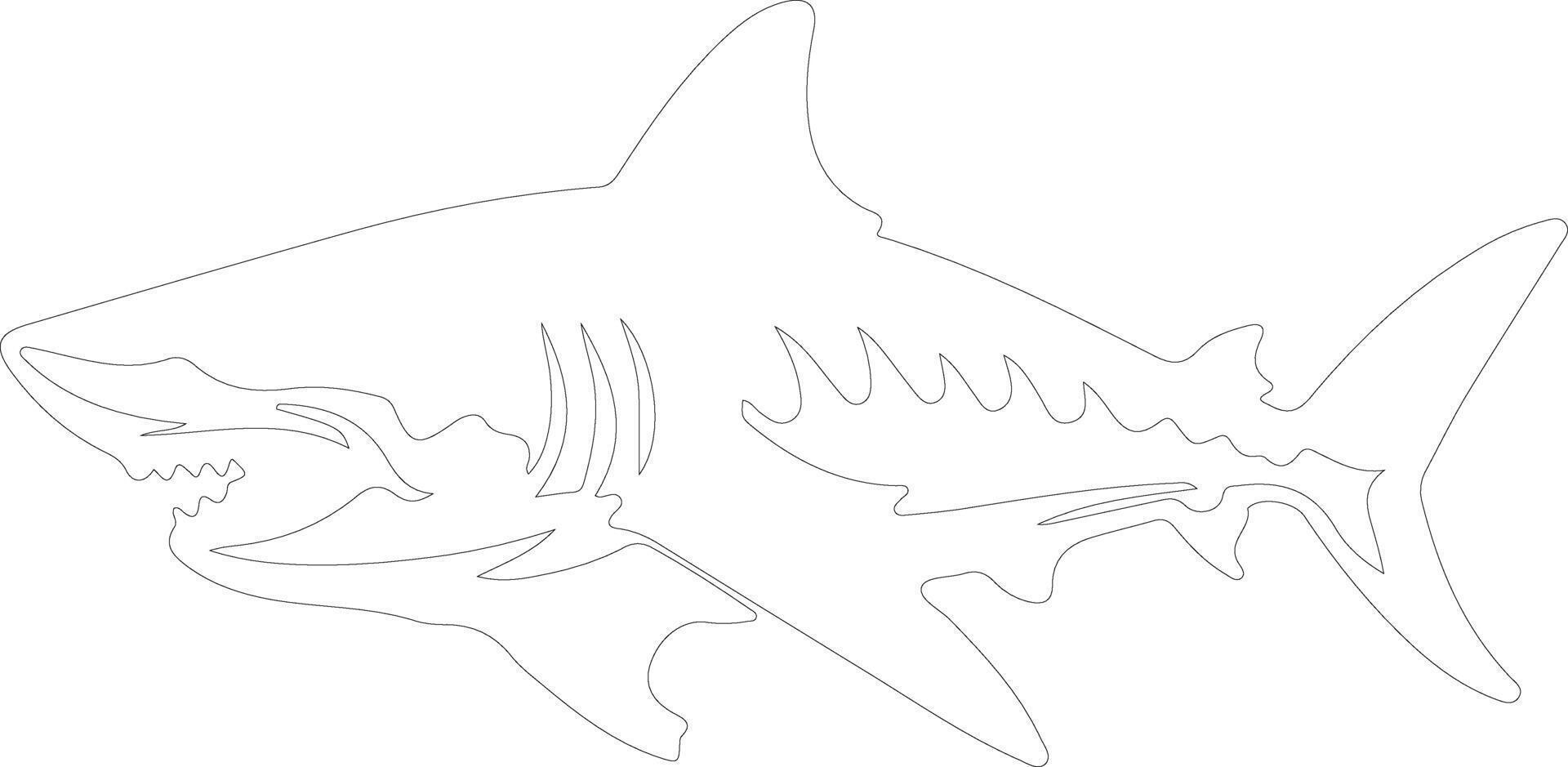 tiger haj översikt silhuett vektor