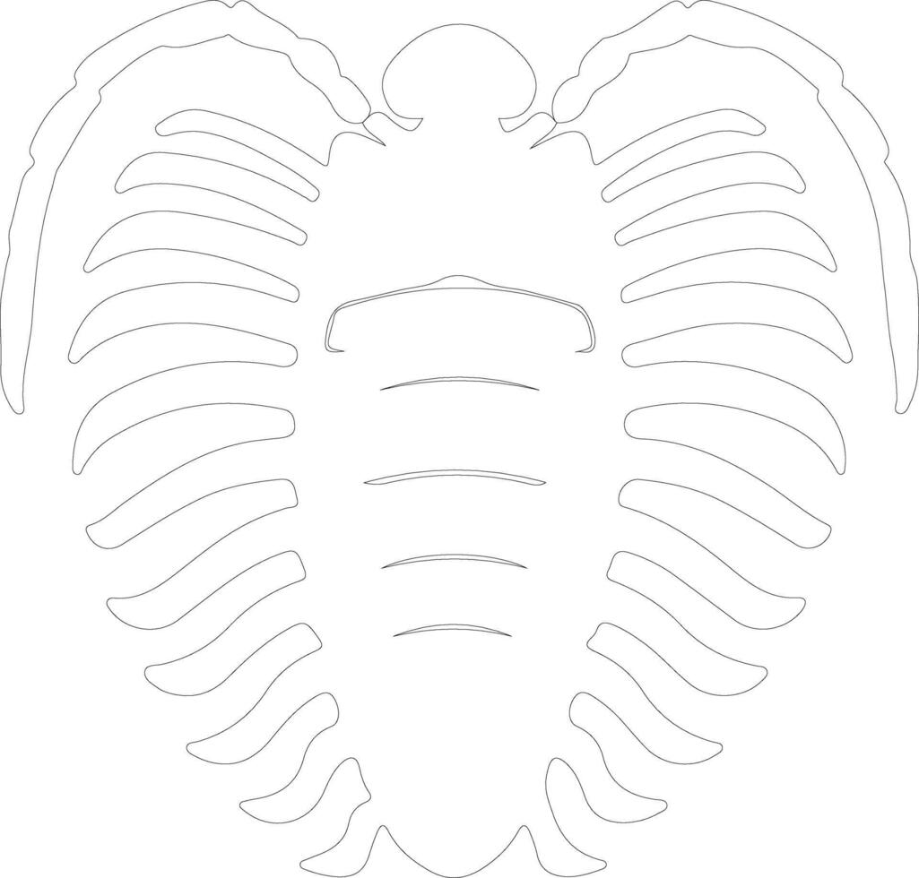 Trilobit Gliederung Silhouette vektor